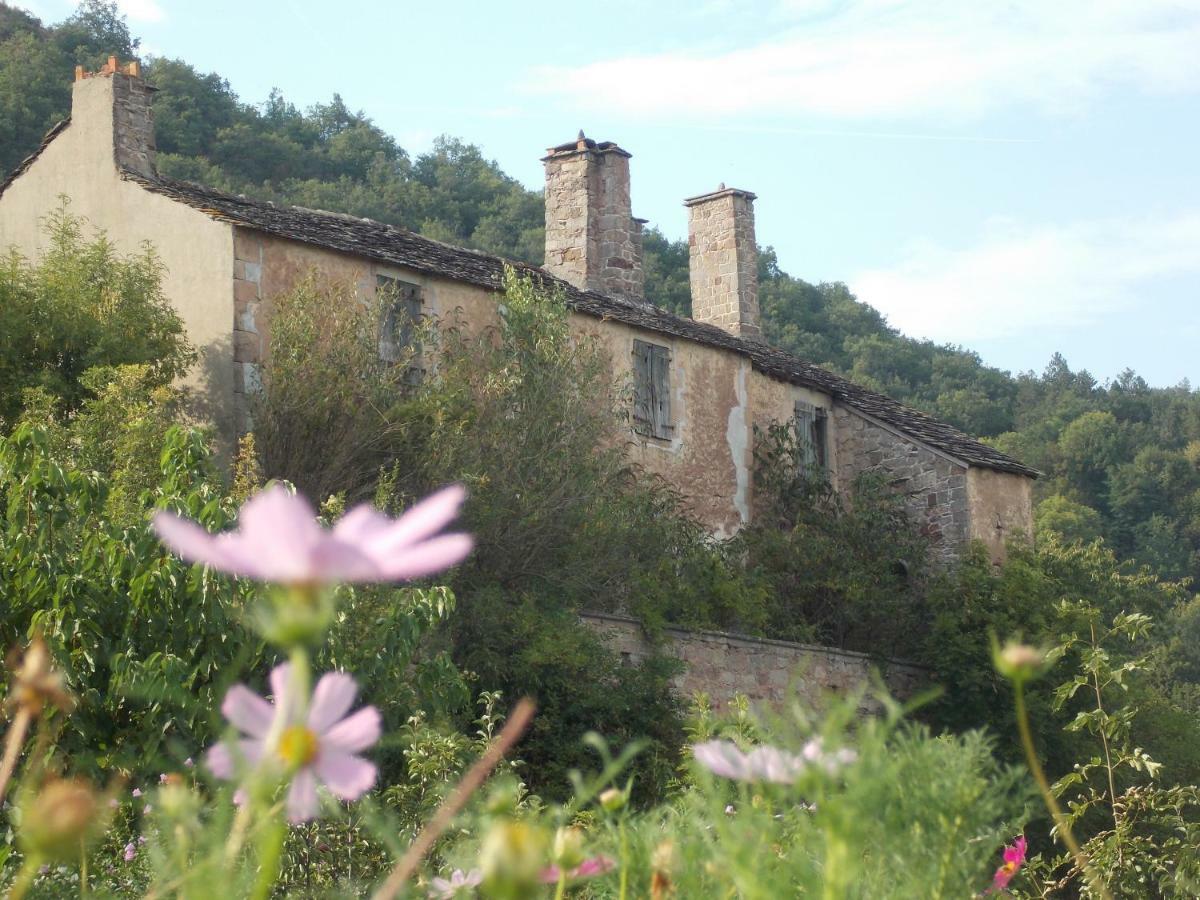Le Cintrium Bed & Breakfast Viala-du-Tarn Luaran gambar
