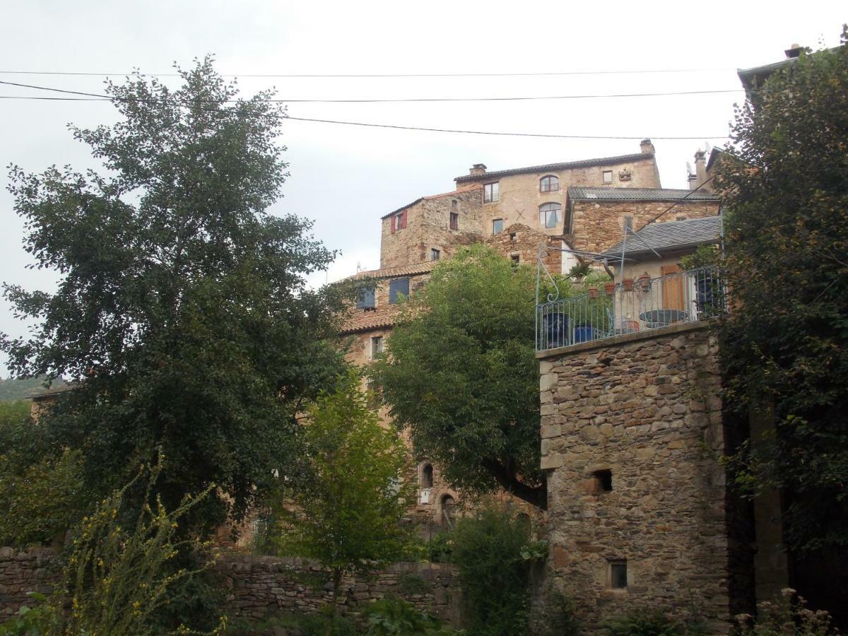 Le Cintrium Bed & Breakfast Viala-du-Tarn Luaran gambar